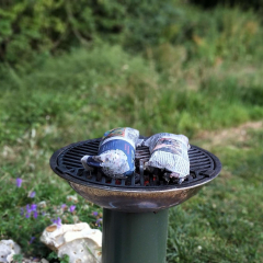 Wrapped fish in a newspaper, threw it on a bbq.